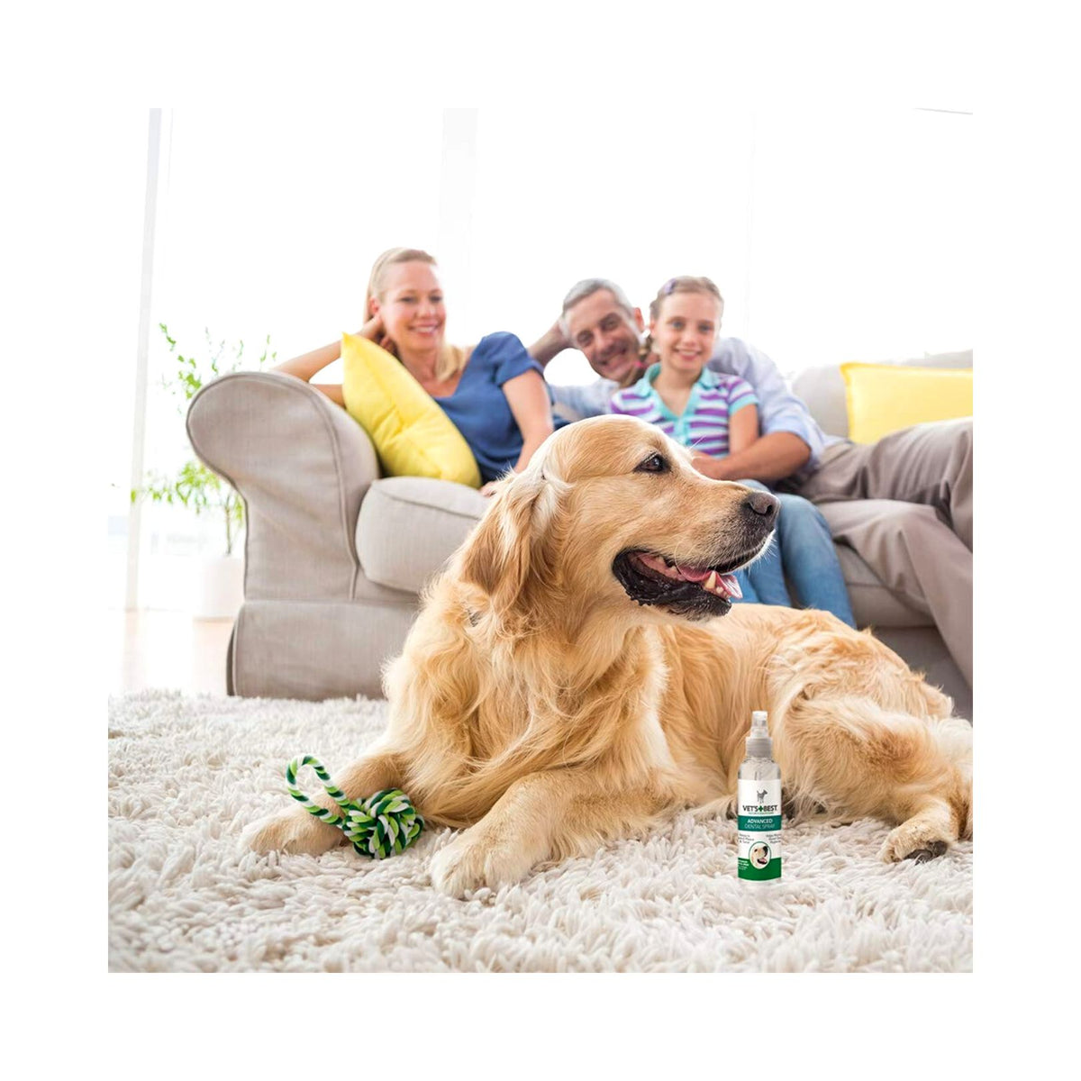 Vet's Best Advanced Dog Dental Spray with Rope Floss Ball Kit - product image 2