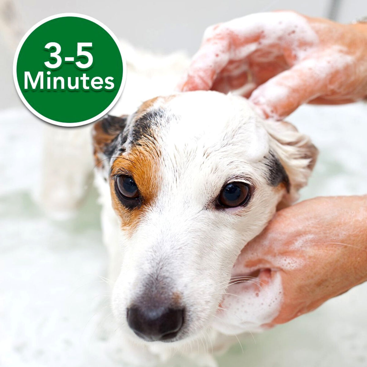 Vet's Best Hypo-Allergenic Dog Shampoo - product image 2