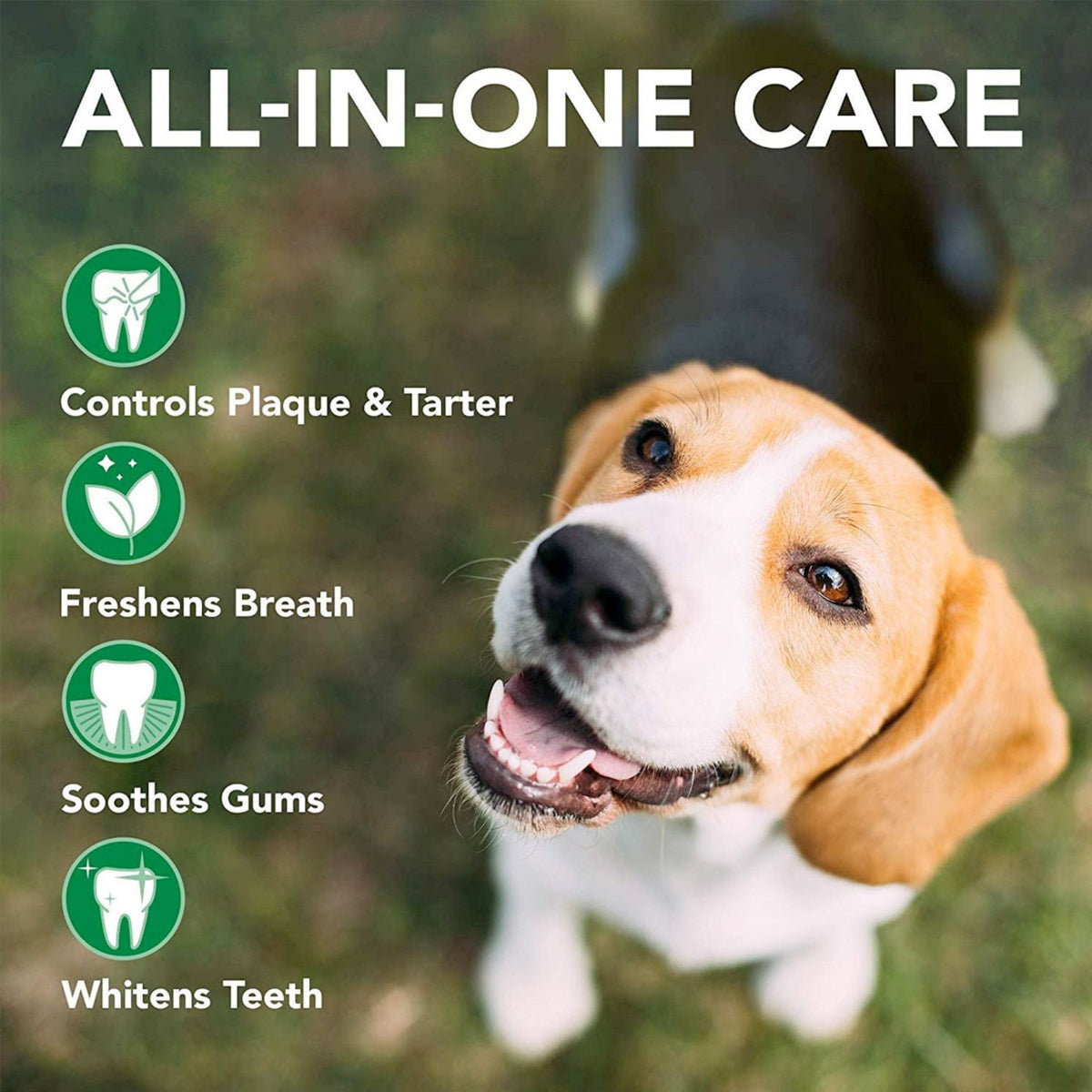 Vet's Best Triple Headed Toothbrush for Dogs - product image 4