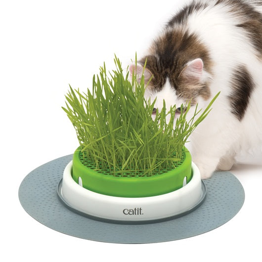 Catit Senses 2.0 Cat Grass Planter - product view 2