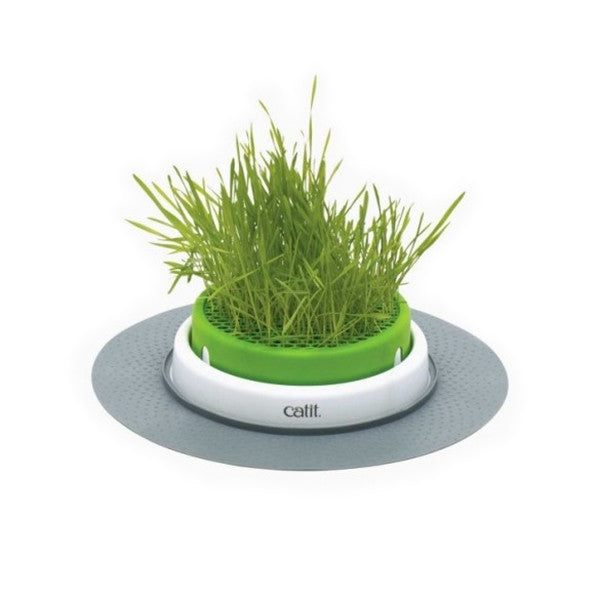 Catit Senses 2.0 Cat Grass Planter - front view