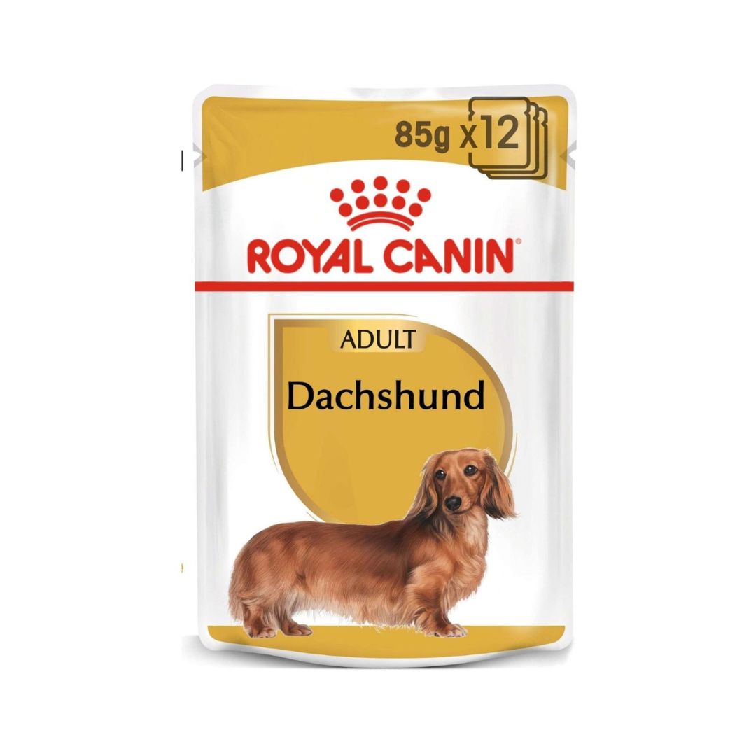 Royal Canin Breed Health Nutrition Dachshund Adult Wet Dog Food 12 x 85 g