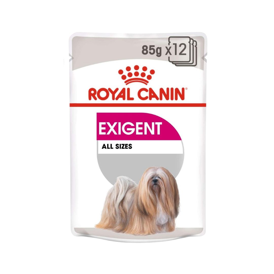 Royal Canin Canine Care Nutrition Exigent Wet Dog Food Pouches 12 x 85 g