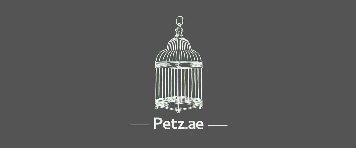 Premium Bird Cages and Accessories in Dubai