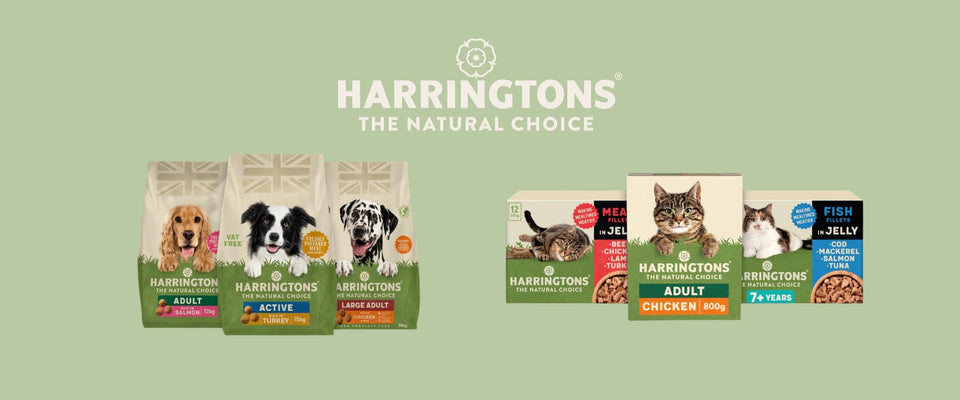 Reasons to Choose Harringtons Pet Food for Dogs and Cats