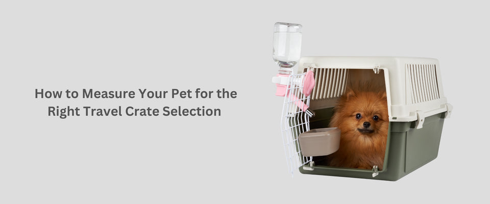 How to Measure Your Pet for the Perfect IATA-Approved Travel Crate