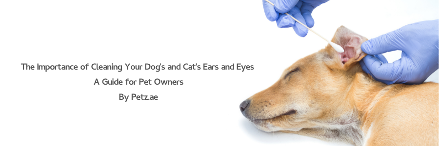 The Importance of Cleaning Your Dog and Cat's Ears and Eyes: A Guide for Pet Owners