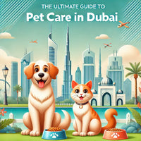 Happy dog and cat in a scenic Dubai setting with the Burj Khalifa in the background, surrounded by pet supplies like food bowls and toys, symbolizing care and joy.