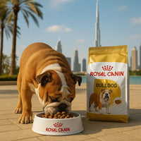 UAE Bulldog Nutrition: Ultimate Climate-Adapted Diet Guide 2025