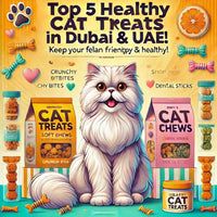 Top 5 Healthy Cat Treats in Dubai & UAE - Featured Image