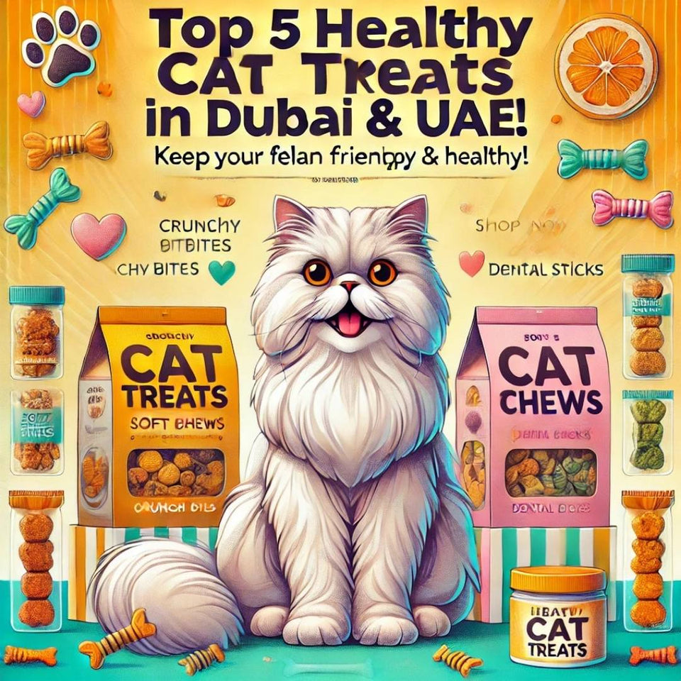 Top 5 Healthy Cat Treats in Dubai & UAE - Featured Image