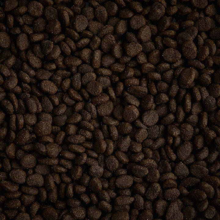 Close-up of AATU Free Run Duck Dry Cat Food kibbles, highlighting texture and quality tailored for cats in Dubai and UAE.