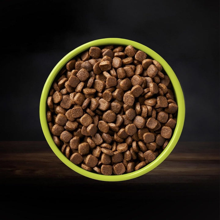 Showcases kibble texture and size, illustrating the quality and palatability of the food.