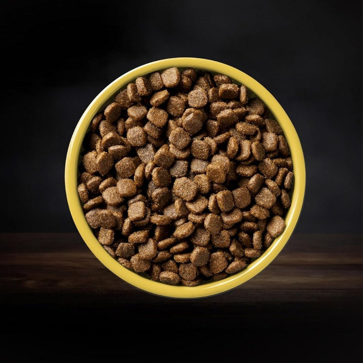 Close-up view of AATU Free Run Turkey Dry Dog Food kibbles, highlighting texture and quality of grain-free, high-protein dog food. Suitable for dogs in Dubai and UAE.