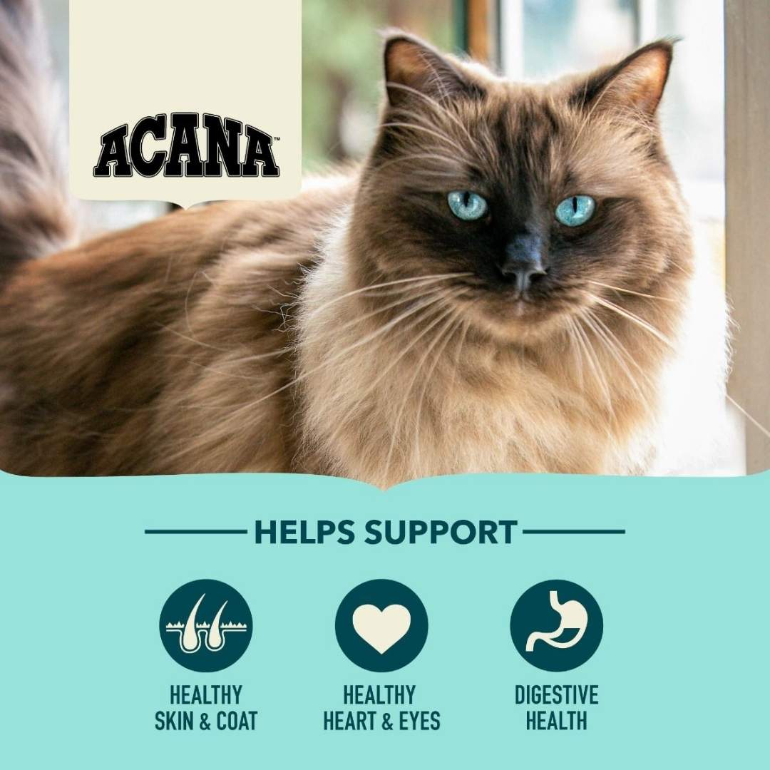 Image of Acana Bountiful Catch Wild-Caught Salmon, Herring & Hake Adult Dry Cat Food - A premium dry cat food designed to support overall health with high-quality fish protein and essential nutrients.
