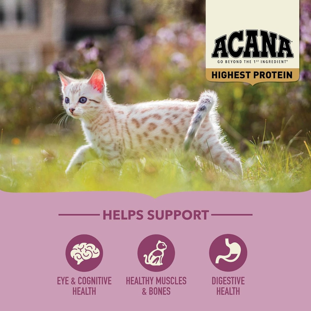 ACANA Highest Protein Kitten Dry Cat Food