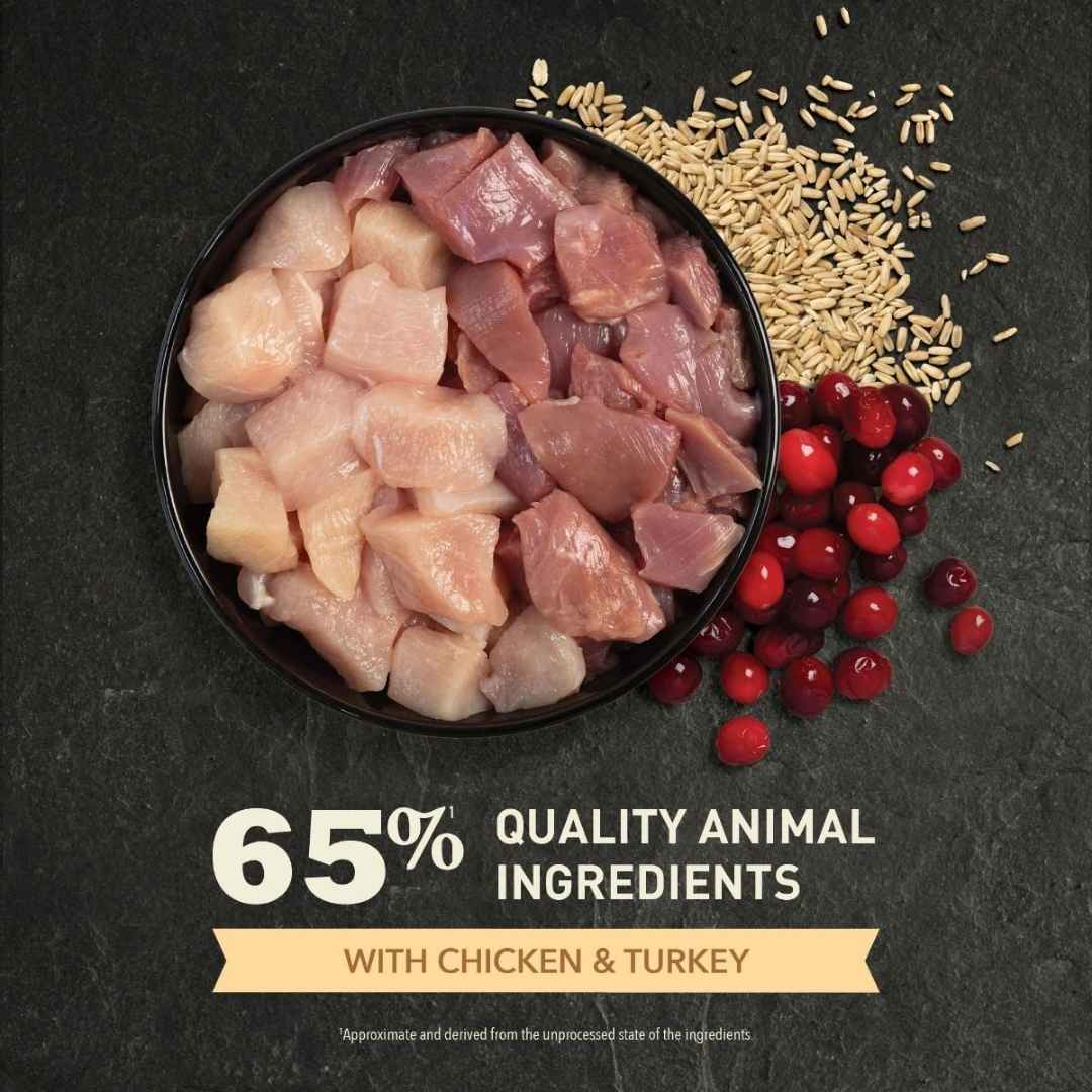 Image of Acana Homestead Harvest Free-Run Chicken & Turkey Adult Dry Cat Food - A premium dry cat food designed to support overall health with high-quality protein and essential nutrients.