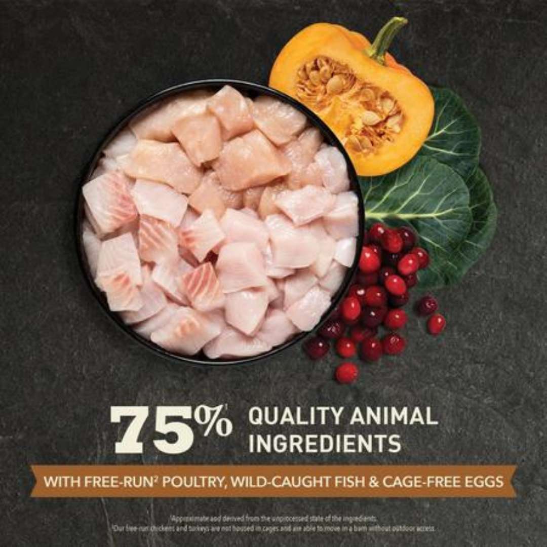 Image of Acana Wild Prairie Free-Run Poultry & Wild-Caught Fish All Life Stages Dry Cat Food - A premium dry cat food designed to support overall health with high-quality poultry and fish protein.