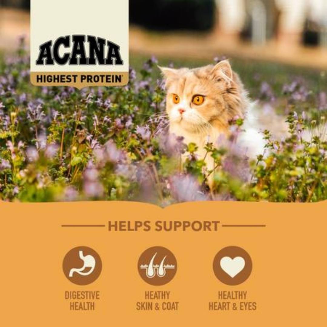 Image of Acana Wild Prairie Free-Run Poultry & Wild-Caught Fish All Life Stages Dry Cat Food - A premium dry cat food designed to support overall health with high-quality poultry and fish protein.