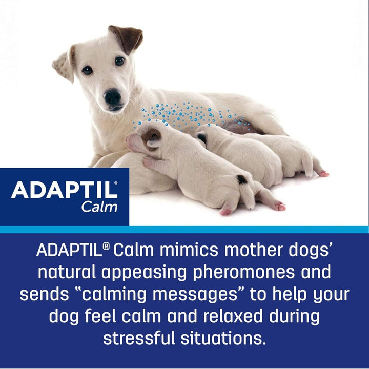 Image of ADAPTIL Calm On-The-Go Collar - A calming collar for dogs that helps manage anxiety and stress with continuous support for up to 4 weeks.