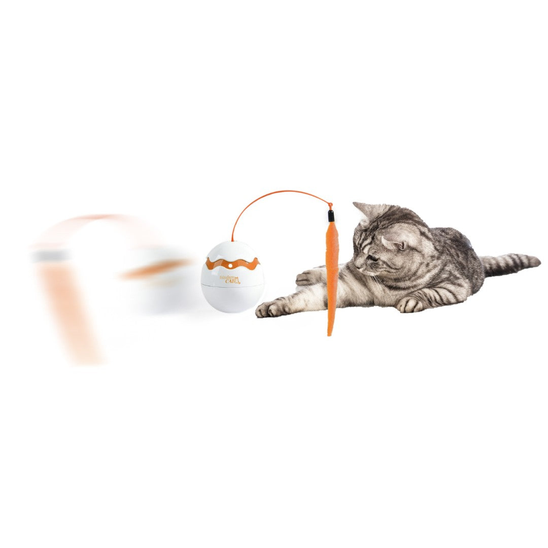 All For Paws Dino Egg Spinner is a toy that provides a 360-degree spinning motion that keeps your cat active and entertained. It requires 2 AA batteries to operate Ad.