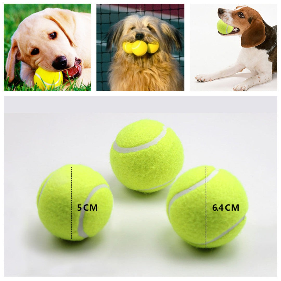 All For Paws Fetch balls 6-pack Dog Toys AD 