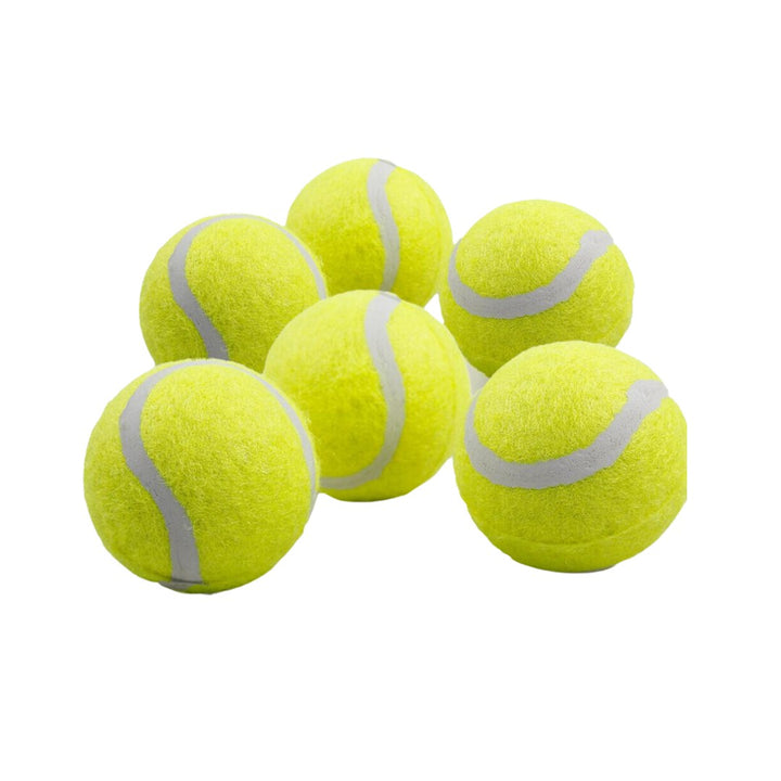 All For Paws Fetch balls 6-pack Dog Toys Full 