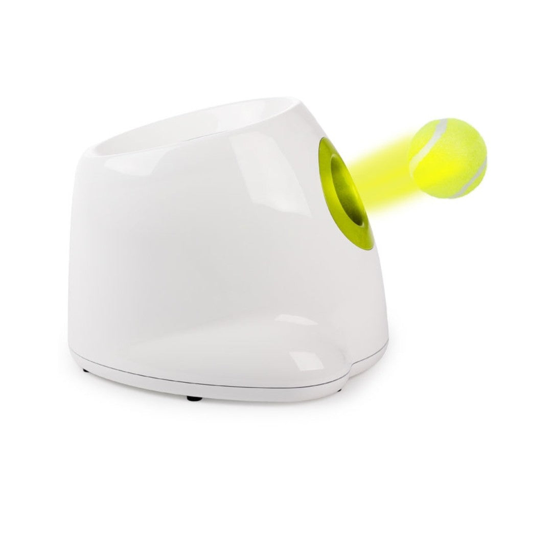 All For Paws Interactive Hyper Fetch Mini Dog Toy - the perfect throwing toy for your furry friend. We all know how much dogs love to play fetch.