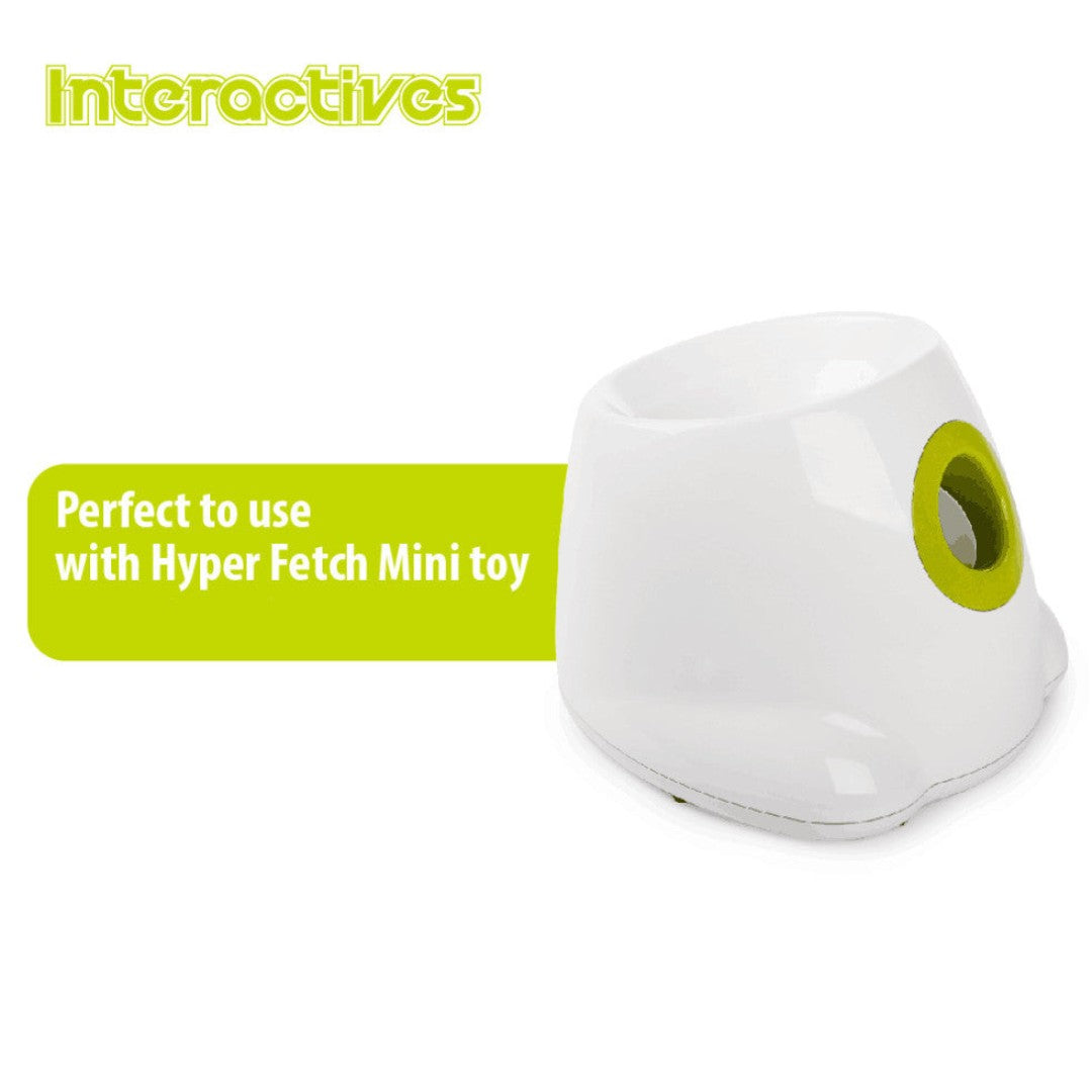 All For Paws Interactive Hyper Fetch Tennis Balls! This set comes with six durable balls that are perfect for use with the hyper fetch MINI game.
