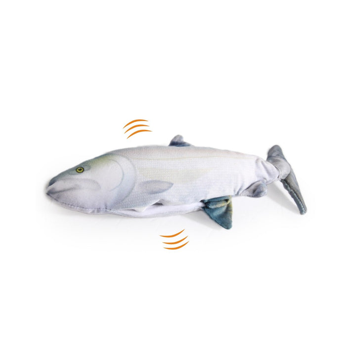 All For Paws Jittering Fish Sardine Cat Toys that move exactly like a real fish. These USB rechargeable come with a pack of silvervine and Canadian imported catnip Full.