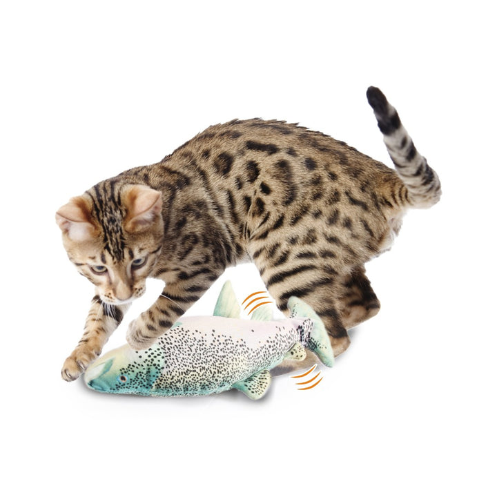All For Paws Jittering Fish Trout Cat Toys that move exactly like a real fish. These USB rechargeable come with a pack of silvervine and Canadian imported catnip - AD.