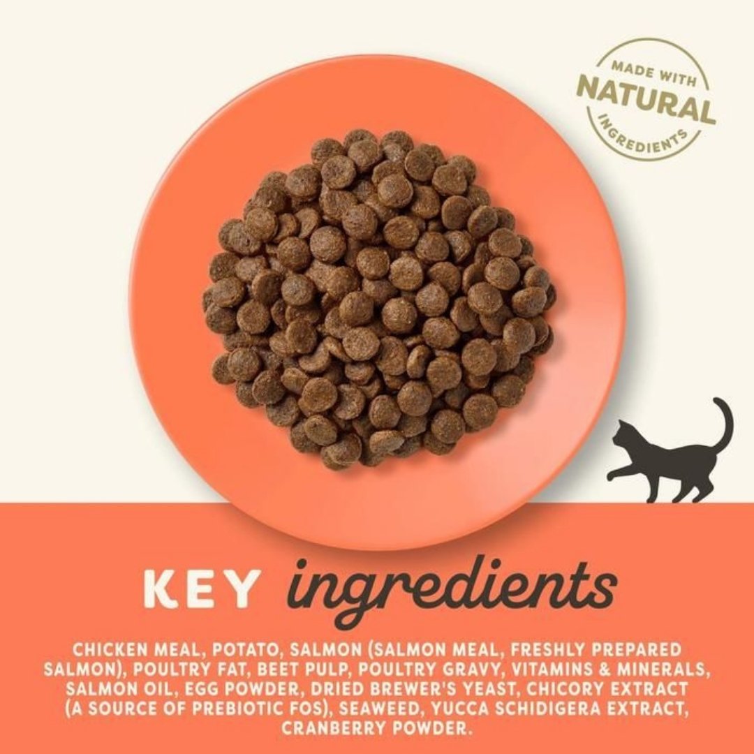 Applaws Chicken & Salmon Cat Dry Food - Ingredients 