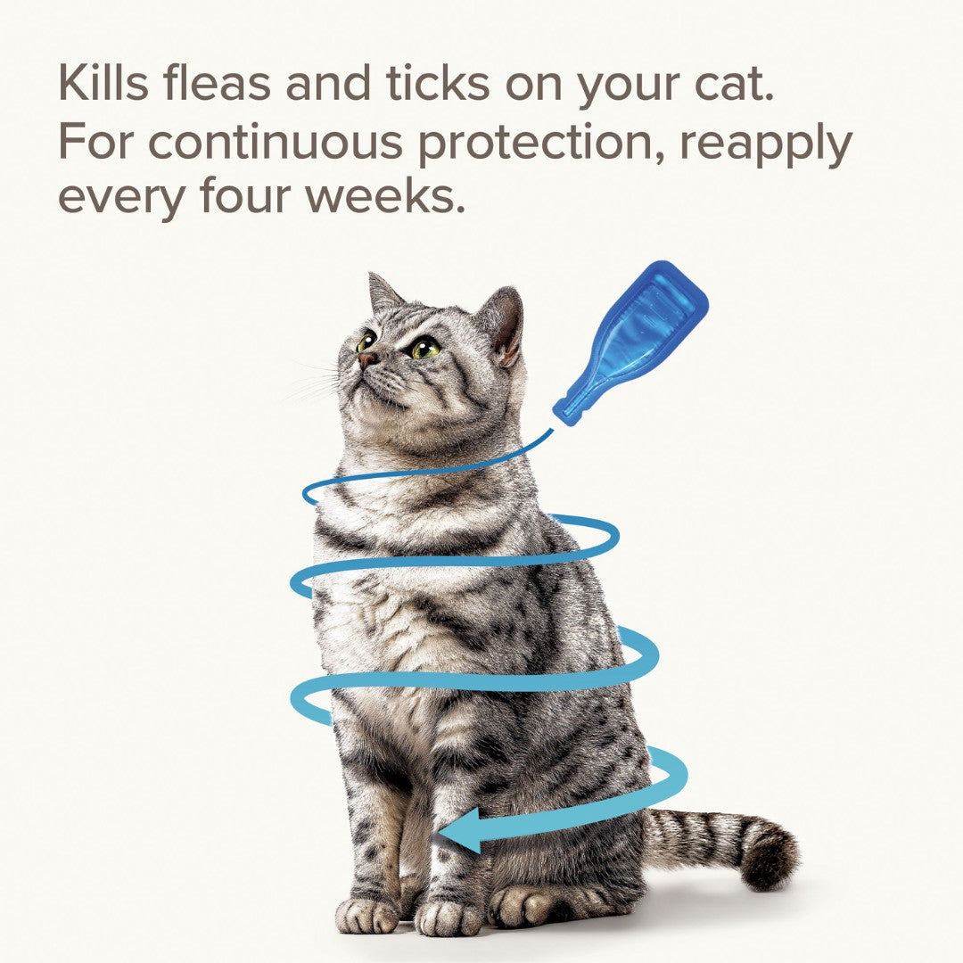 Beaphar Cat Fiprotec Spot On - back label
