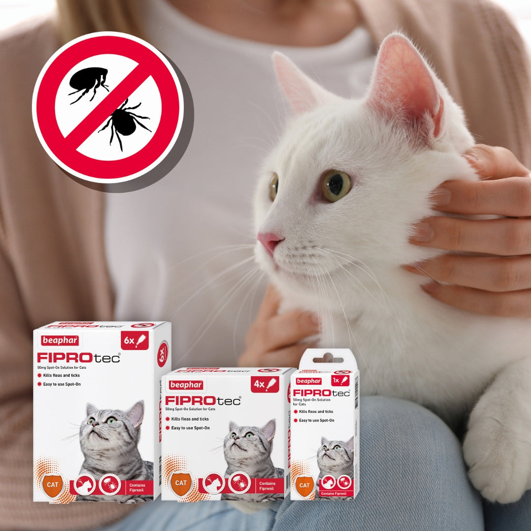 Beaphar Cat Fiprotec Spot On - product image 2