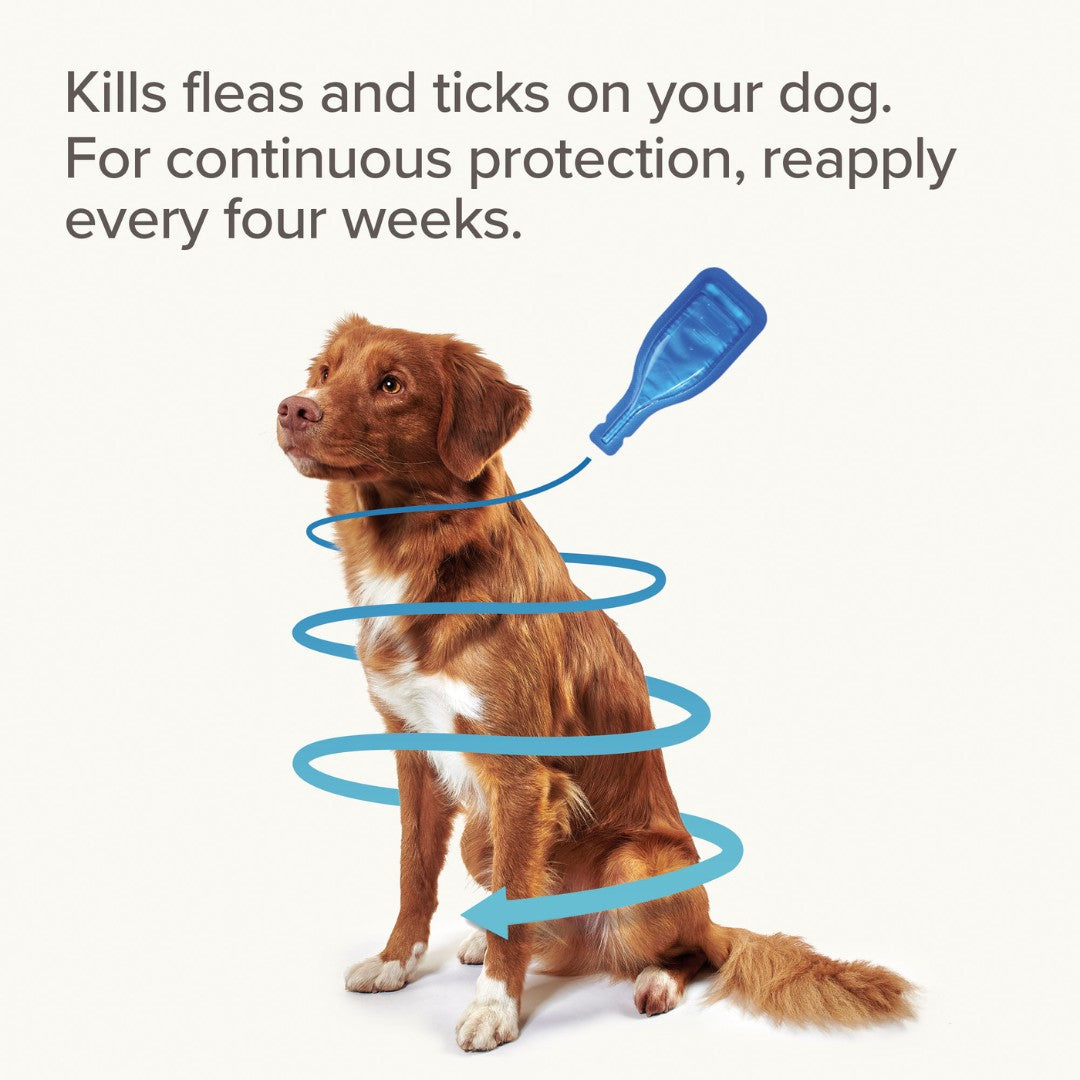 Beaphar FIPROtec Spot On for Small Dogs - product image 7