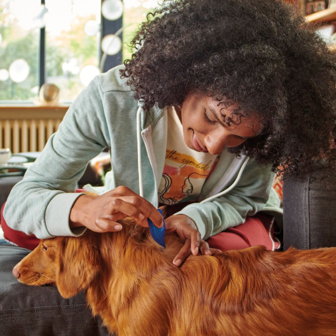 Beaphar FIPROtec Spot On for Small Dogs - product image 6