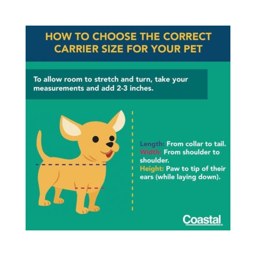 Bergan Wheeled Comfort Pet Carrier IATA-Approved - Black carrier with tan interior, perfect for pets up to 22 lbs. - How to choose the correct carrier size