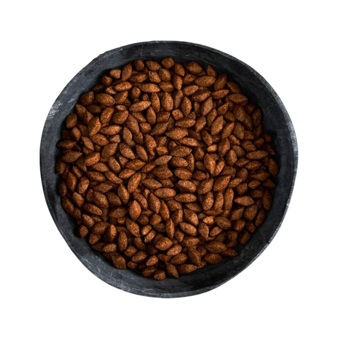 Canagan Insect Protein Dry Dog Food