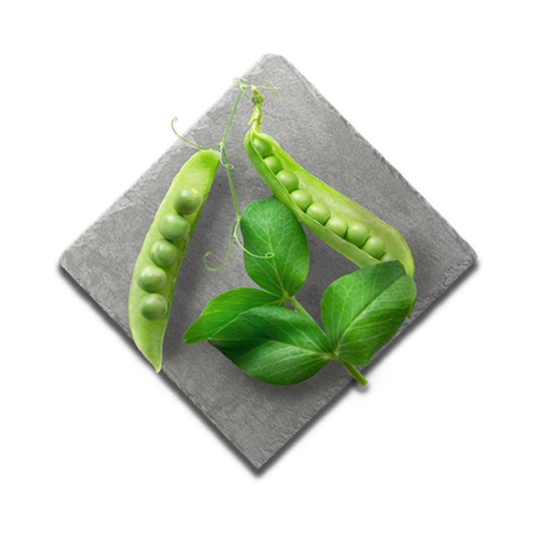 Buy Canagan Softies Chicken Treats | Petz.ae - Peas