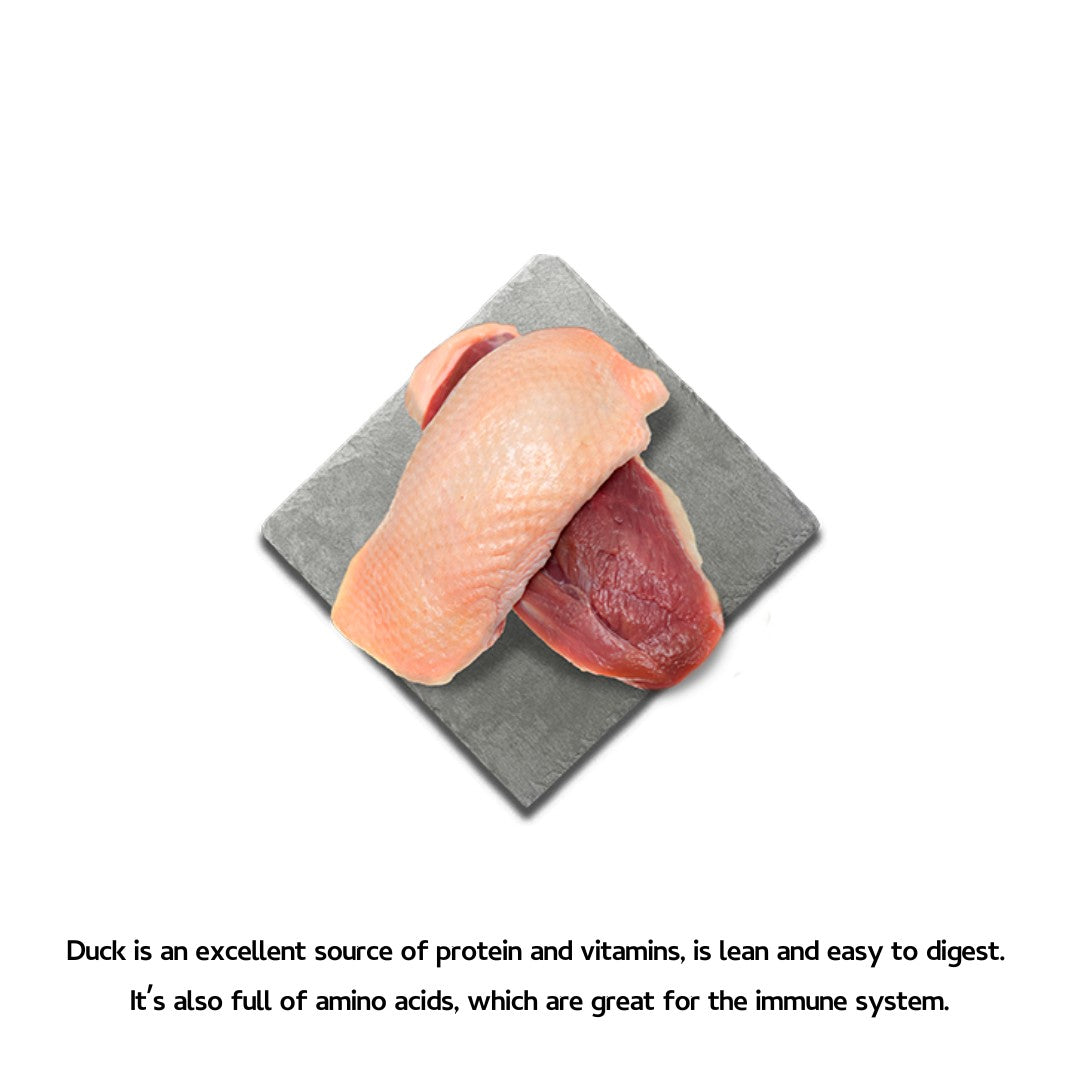 Shop Canagan Softies Duck Dog Treats | Petz.ae - Duck