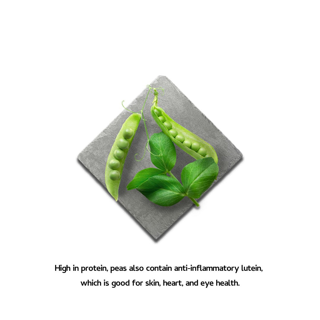 Buy Canagan Softies Quail Dog Treats | Petz.ae - Peas