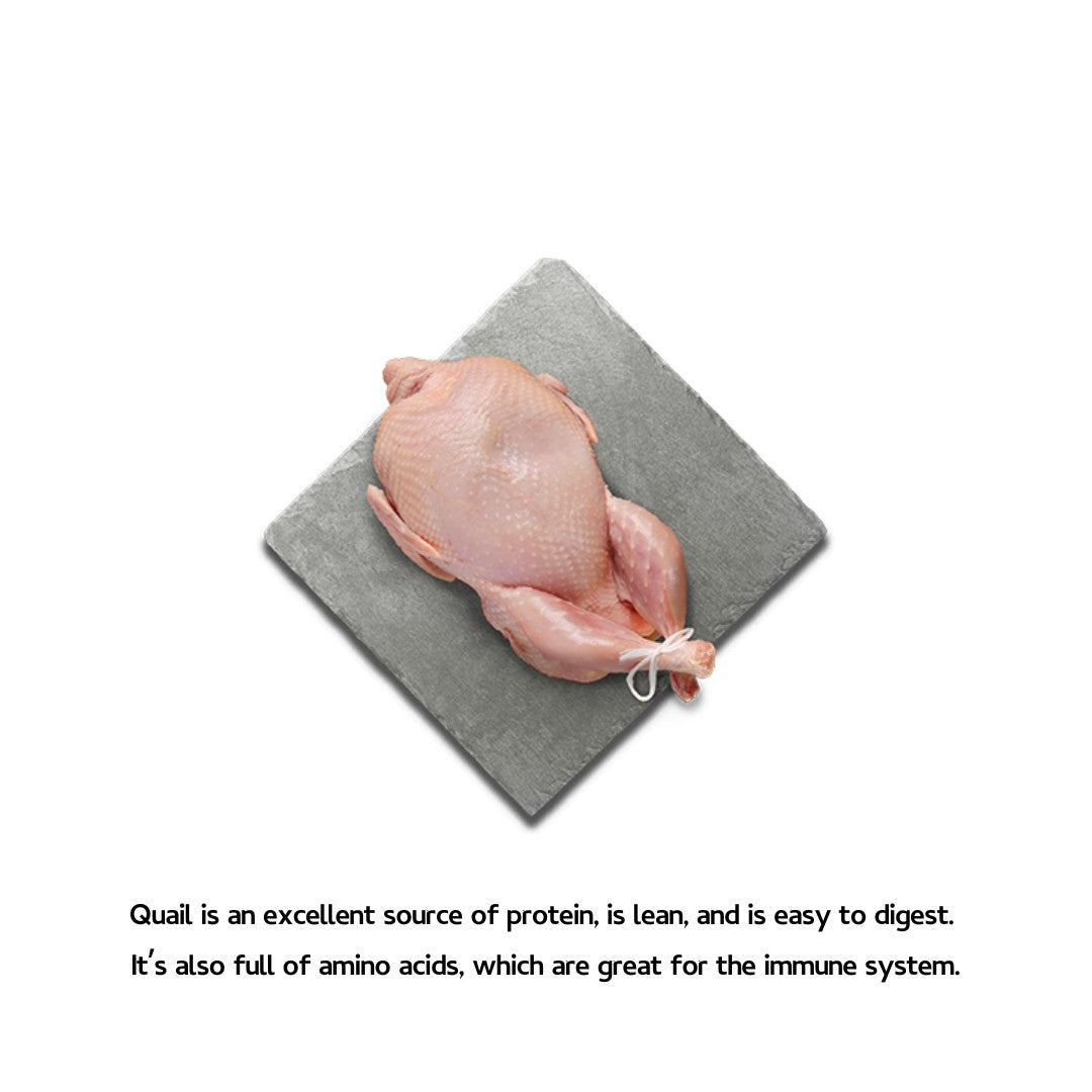 Buy Canagan Softies Quail Dog Treats | Petz.ae 