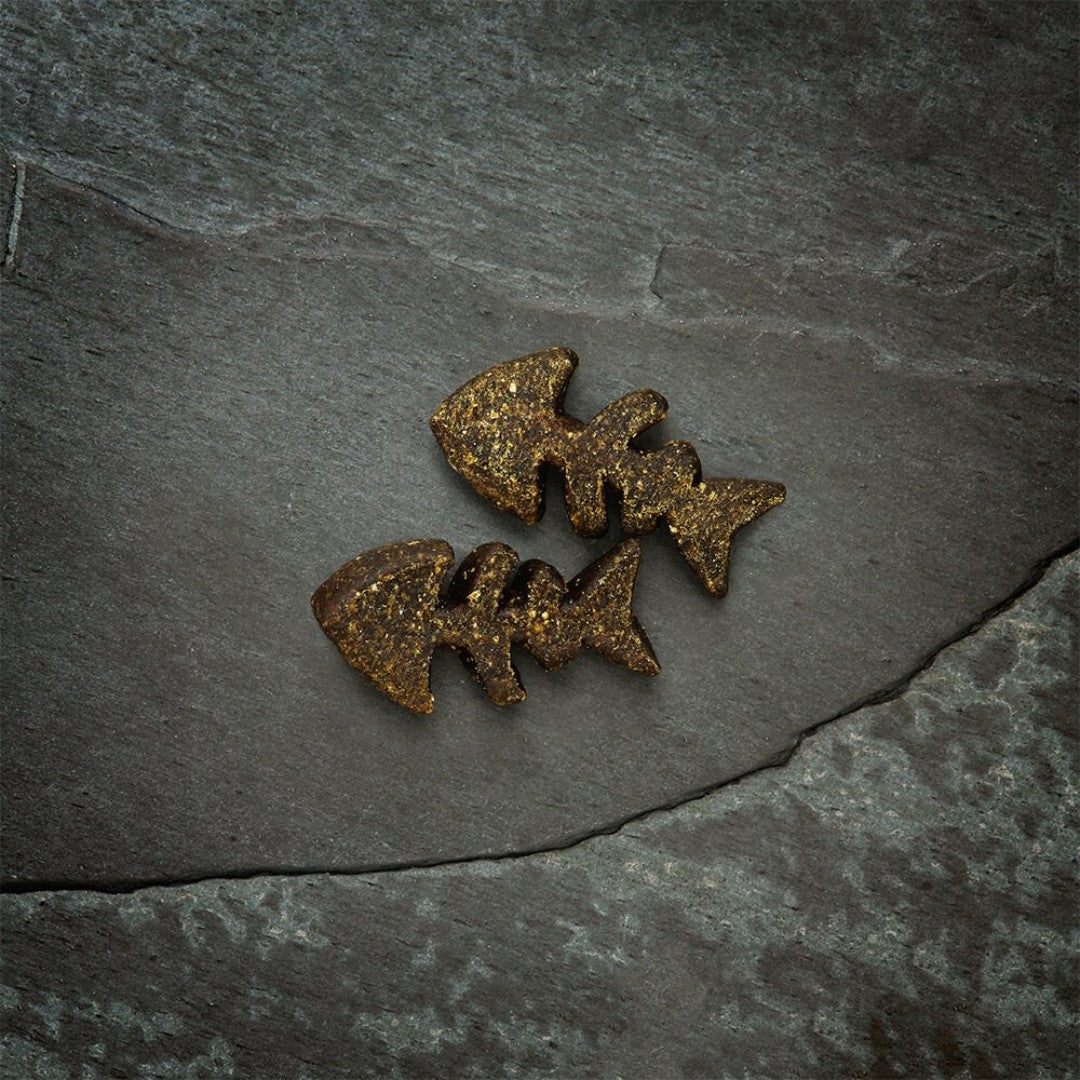 Shop Canagan Softies Salmon Dog Treats| Petz.ae - Slate