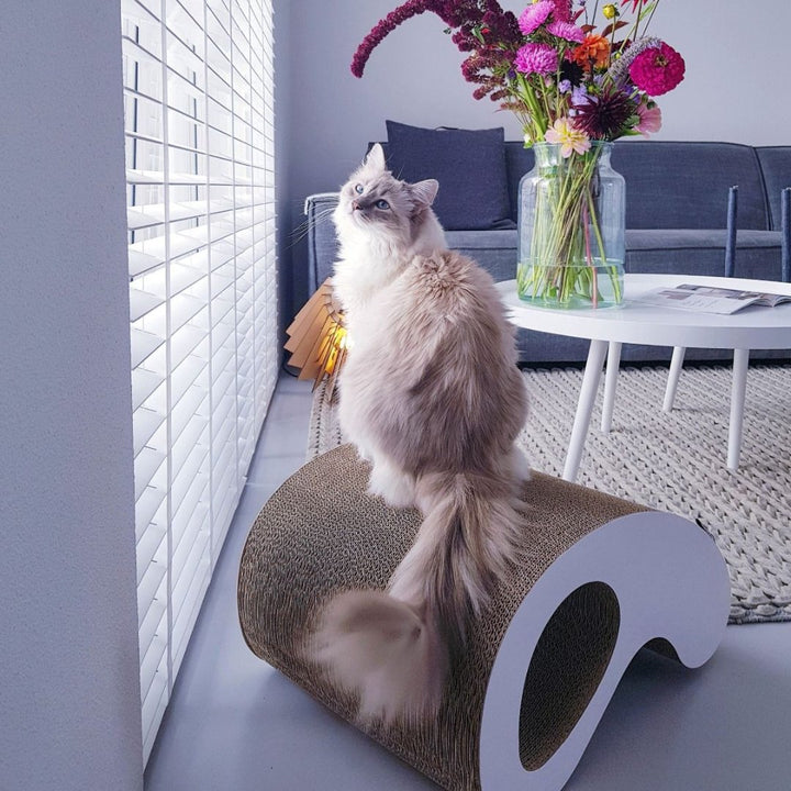 District 70 Rocking Cardboard Cat Scratcher - Stylish and Eco-Friendly Design for Cats in Dubai - AD
