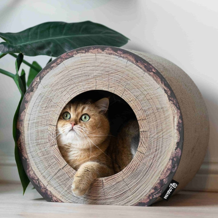 District 70 Trunk Cardboard Cat Scratcher - Ad with Cat