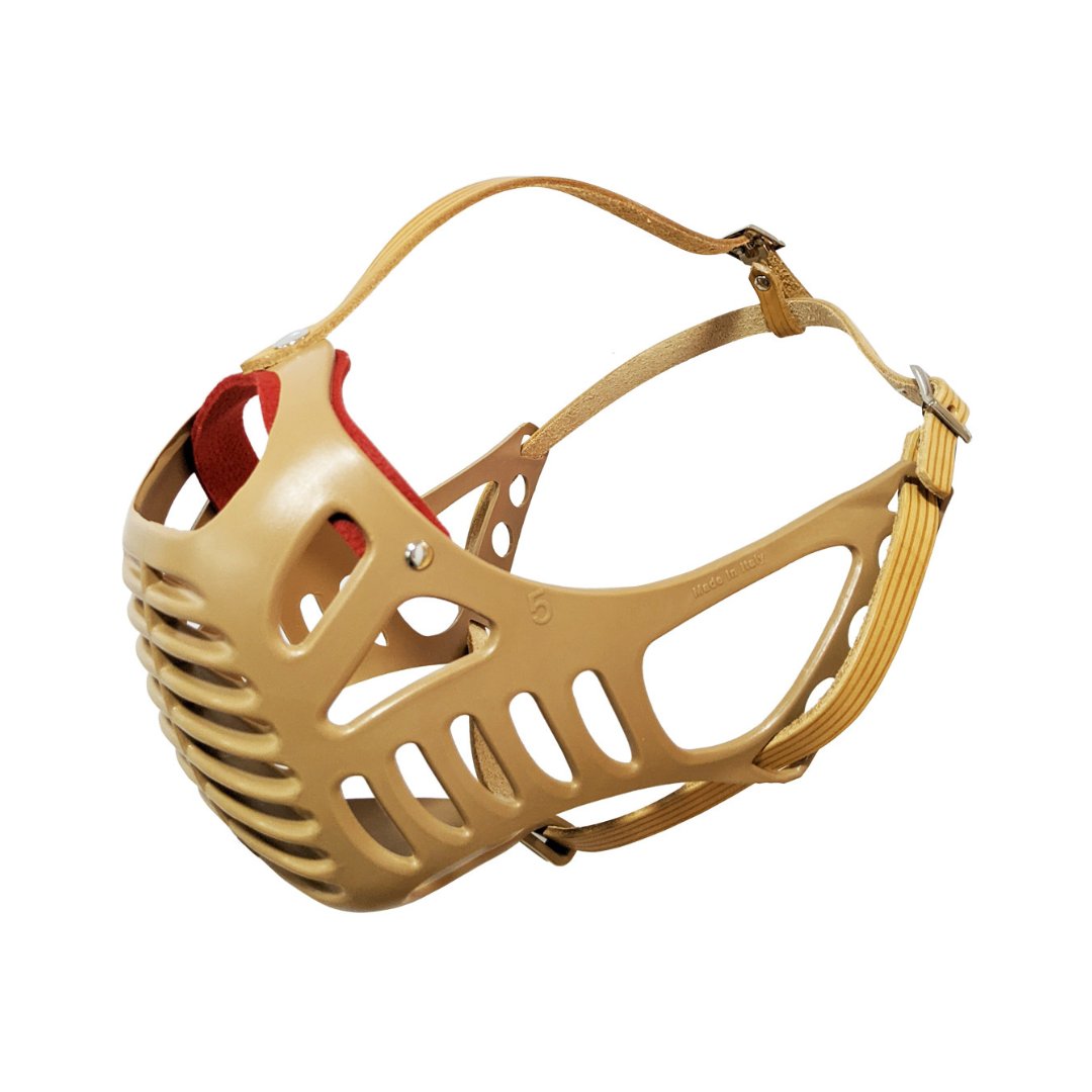 Dog Fever Muzzle leather band and plastic basket. It's specially designed for molosser dogs and made of durable, resistant plastic. Ideal for Boxers, Bullmastiffs, and other breeds with short and thick snouts - Brown.