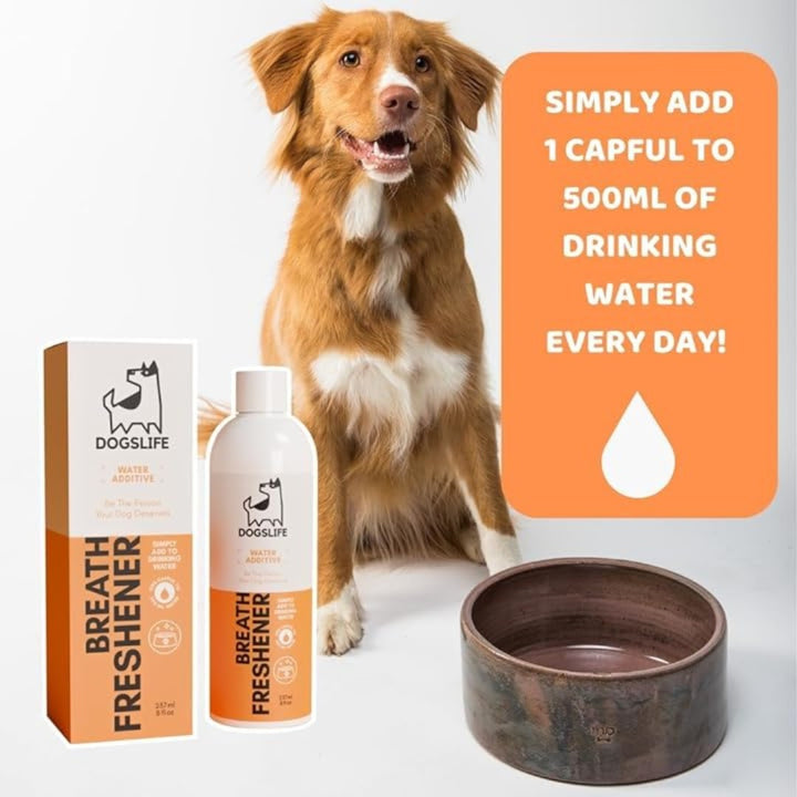DogsLife Dog Breath Freshener Water Additive