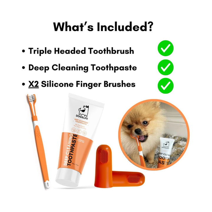 DogsLife Dog Dental Care Kit - What's inside the box 