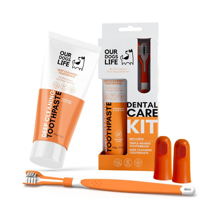 DogsLife Dog Dental Care Kit - Open Kit