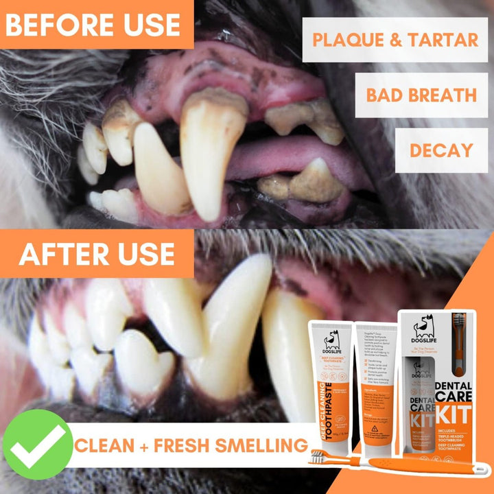 DogsLife Dog Dental Care Kit - Benefits before and after 